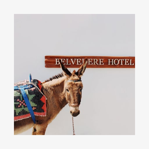 Belvedere Five-star Hotel Mykonos: Website Design